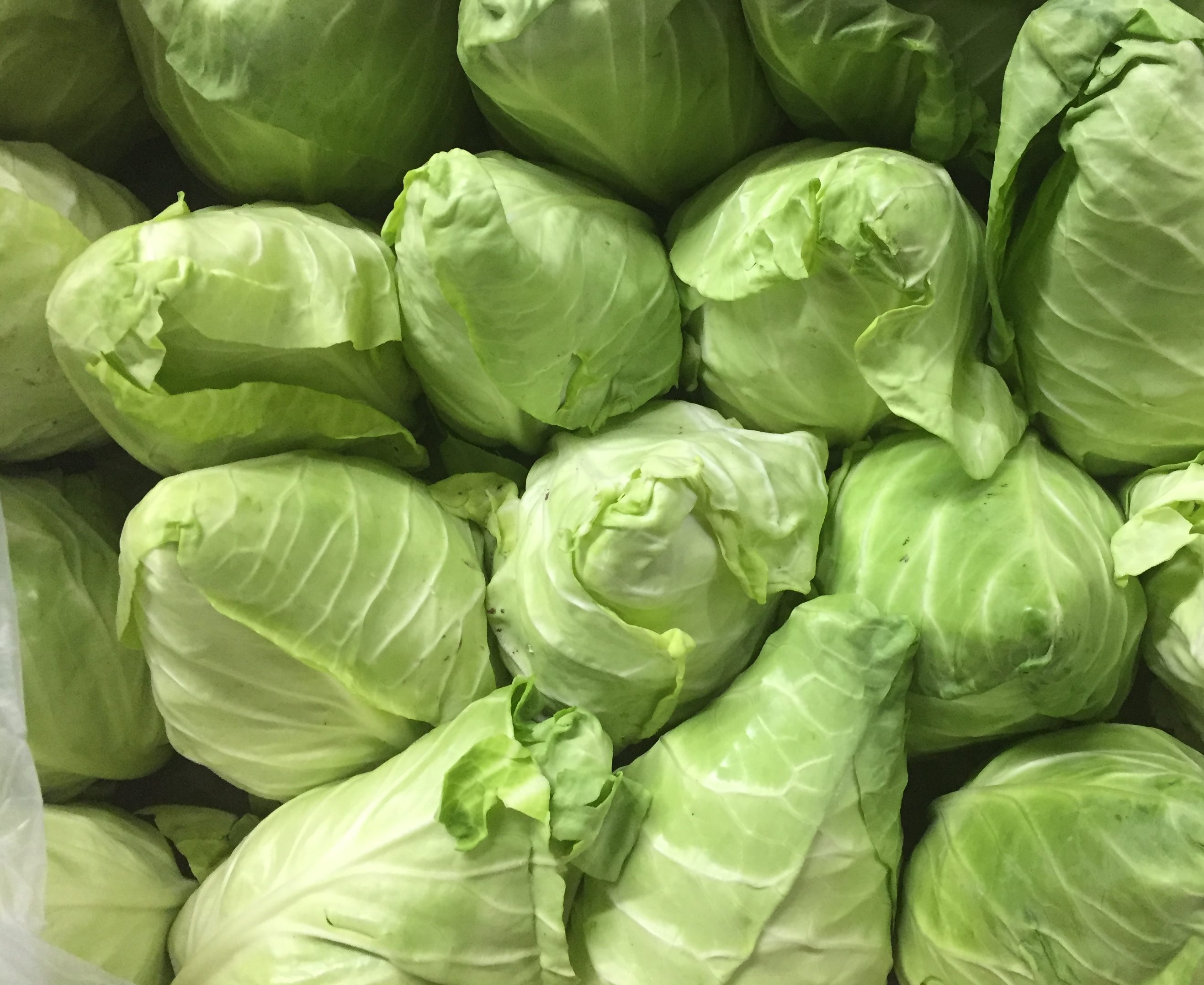 Arrowhead Cabbage Specialty Foods Boston
