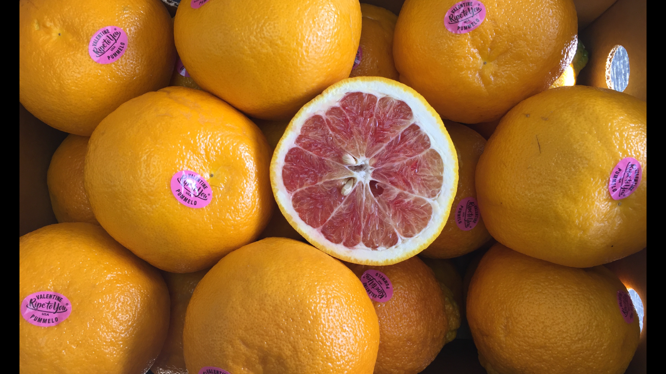 Citrus, Blood Pummelos (Pomelo) Specialty Foods Boston