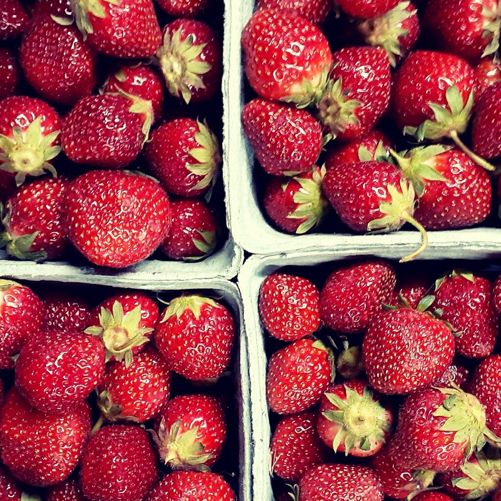 Strawberries, Native Specialty Foods Boston
